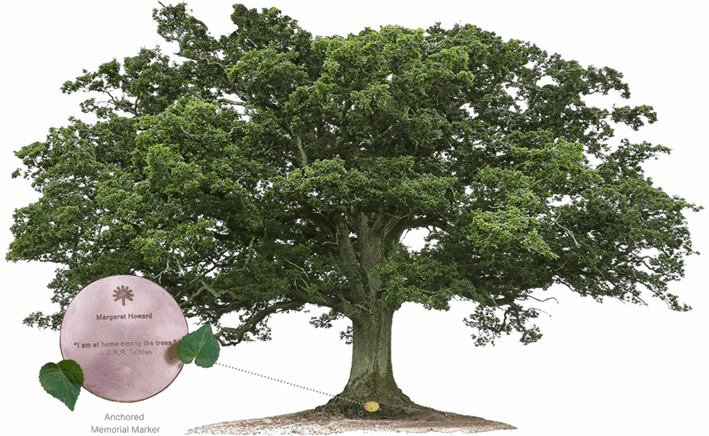 Memorial tree with a bronze marker at its base, symbolizing lasting peace for families and nature in a protected forest.