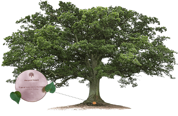 A silhouette of a private Memorial Tree with a close-up view of a customizable Memorial Marker.