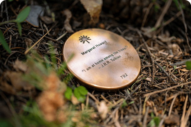 Close-up of a bronze memorial marker at the base of a memorial tree, symbolizing remembrance and a lasting place to return.