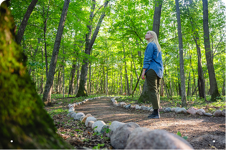 A woman with a walking stick stands on a stone-lined forest path, gazing upward at the trees.