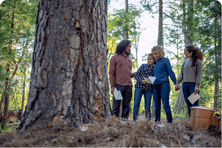 A family of four gathers near the base of a large tree in a forest for a Nature Memorial ceremony.