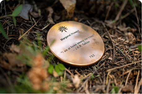 A close-up of a bronze Memorial Marker resting at the base of a Memorial Tree.